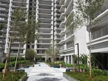 Apartamento para Locação em São Paulo/SP Tucuruvi 3 Quartos
