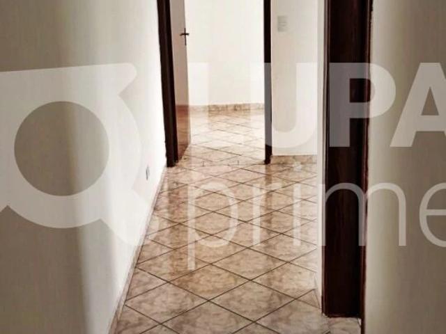 Apartamento para Locação em São Paulo/SP Vila Maria 1 Quartos