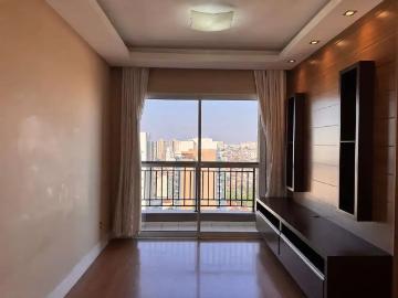 Apartamento para Locação em São Paulo/SP Vila Monte Alegre 3 Quartos