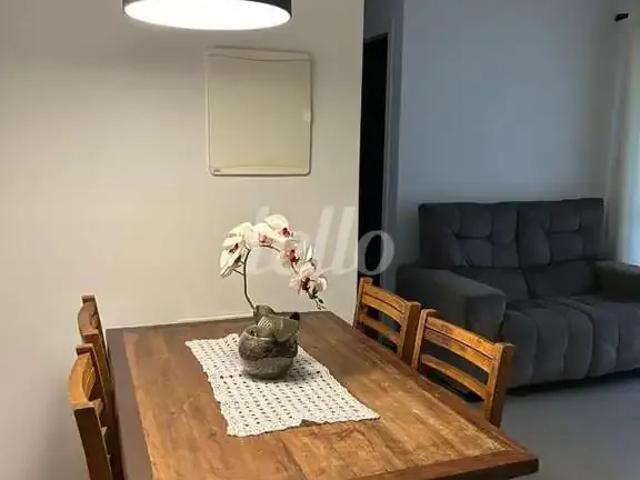 Apartamento para Locação em São Paulo/SP Vila Cruzeiro 1 Quartos