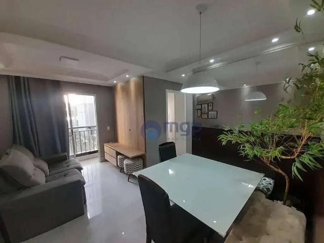 Apartamento para Locação em São Paulo/SP Vila Gustavo 2 Quartos