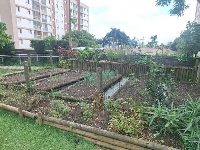 Apartamento para Locação em São Paulo/SP Vila Polopoli 2 Quartos