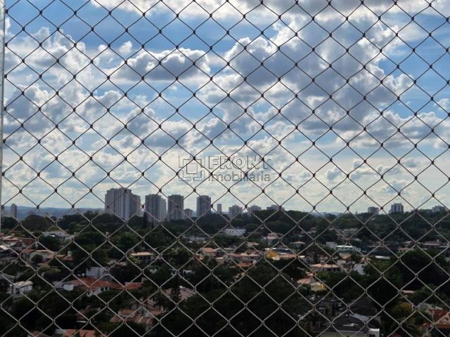 Apartamento para Locação em São Paulo/SP Vila Santa Catarina 3 Quartos