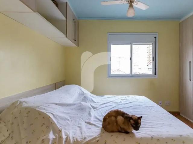 Apartamento para Locação em São Paulo/SP Aclimação 2 Quartos
