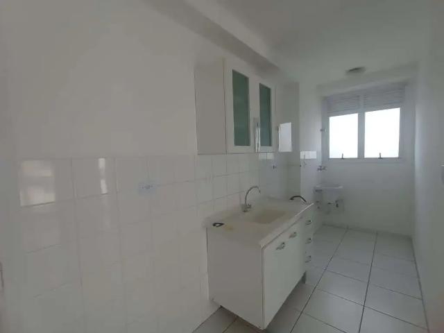 Apartamento para Locação em São Paulo/SP Cambuci 1 Quartos