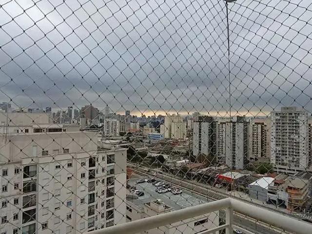 Apartamento para Locação em São Paulo/SP Cambuci 2 Quartos