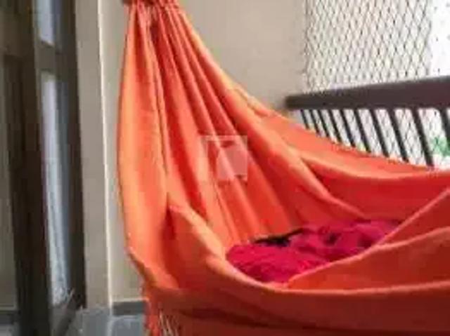 Apartamento para Locação em São Paulo/SP Cambuci 3 Quartos