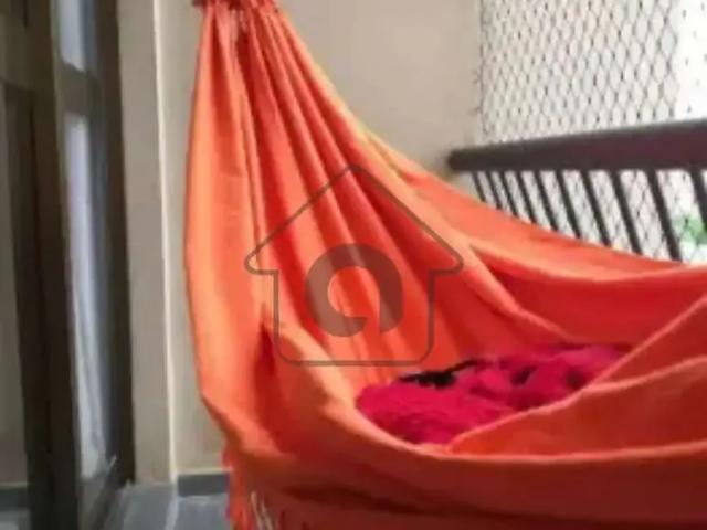Apartamento para Locação em São Paulo/SP Cambuci 3 Quartos