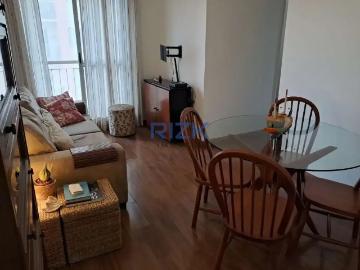 Apartamento para Locação em São Paulo/SP Cambuci 3 Quartos