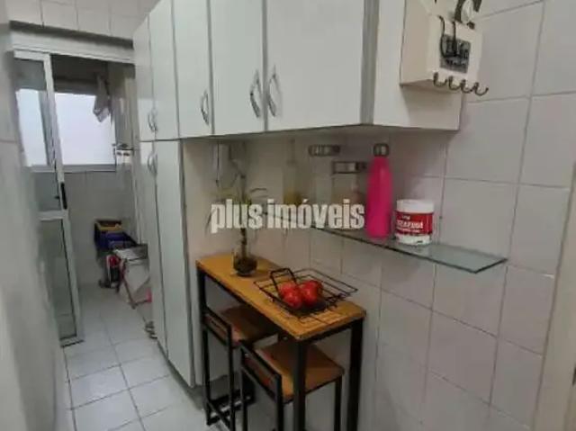 Apartamento para Locação em São Paulo/SP Cambuci 3 Quartos