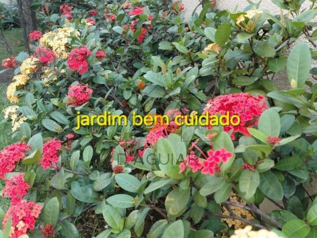 Apartamento para Locação em São Paulo/SP Imirim 2 Quartos