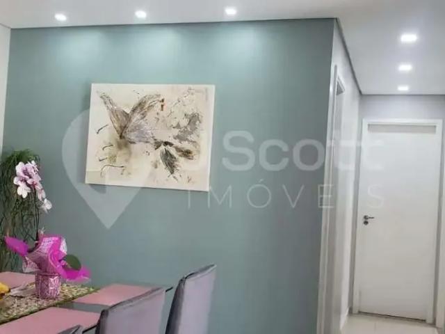 Apartamento para Locação em São Paulo/SP Interlagos 3 Quartos