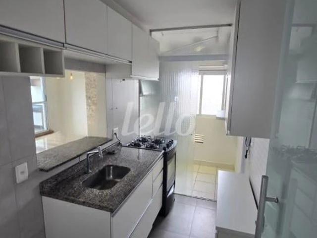 Apartamento para Locação em São Paulo/SP Jardim Independência 3 Quartos