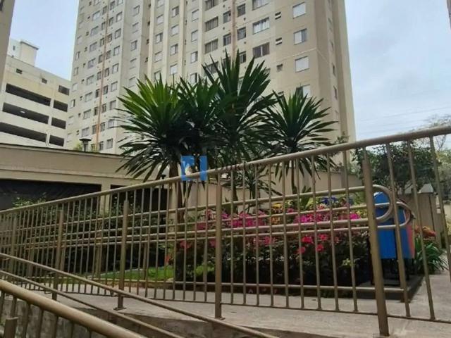 Apartamento para Locação em São Paulo/SP Jardim Íris 2 Quartos