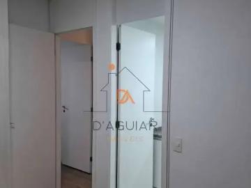 Apartamento para Locação em São Paulo/SP Limão 3 Quartos