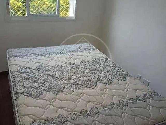 Apartamento para Locação em São Paulo/SP Morumbi 2 Quartos
