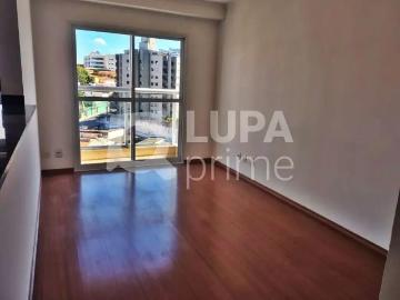 Apartamento para Locação em São Paulo/SP Parada Inglesa 1 Quartos