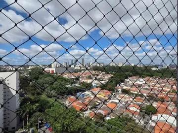 Apartamento para Locação em São Paulo/SP Parque Continental 2 Quartos