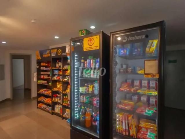 Apartamento para Locação em São Paulo/SP Parque da Vila Prudente 3 Quartos