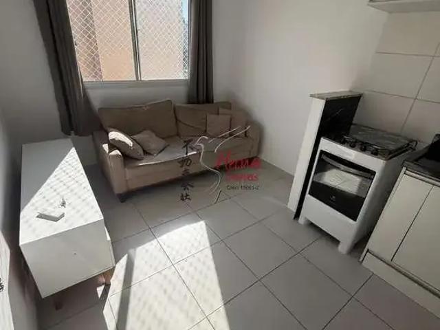 Apartamento para Locação em São Paulo/SP Piqueri 2 Quartos