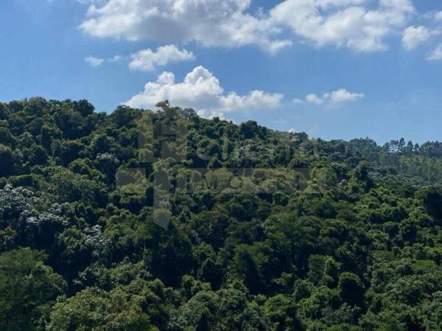 Apartamento para Locação em Santana de Parnaíba/SP Tamboré 1 Quartos