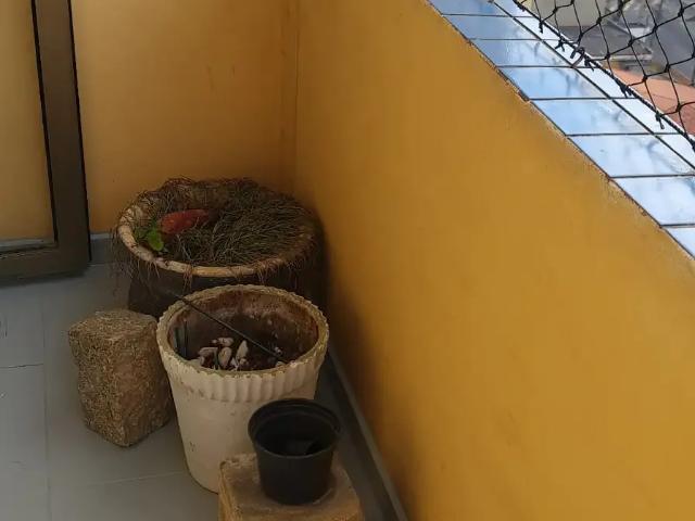 Apartamento para Locação em Santo André/SP Parque das Nações 3 Quartos