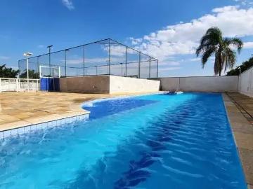 Apartamento para Locação em Santo André/SP Vila Príncipe de Gales 1 Quartos