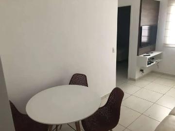 Apartamento para Locação em Sorocaba/SP Parque Campolim 2 Quartos