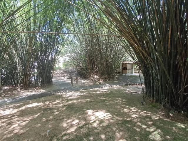Apartamento para Venda em Maricá/RJ Caxito 2 Quartos