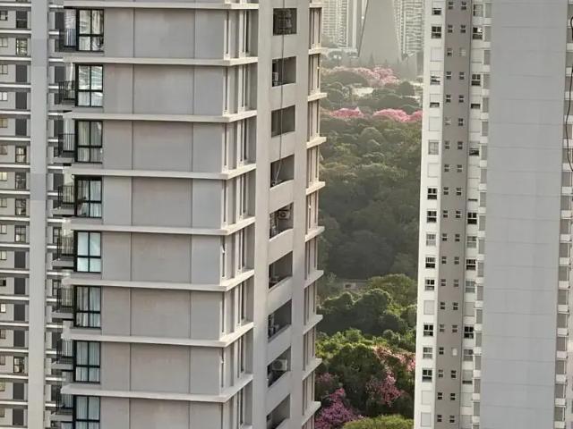Apartamento para Venda em Maringá/PR Zona 03 3 Quartos