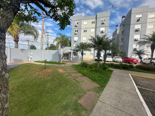 Apartamento para Venda em Novo Hamburgo/RS Industrial 3 Quartos
