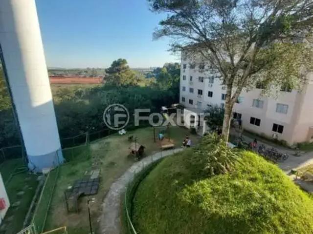 Apartamento para Venda em Novo Hamburgo/RS Santo Afonso 2 Quartos