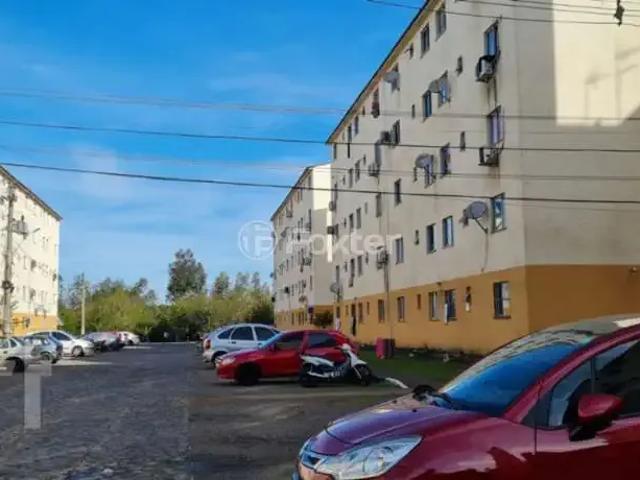 Apartamento para Venda em Novo Hamburgo/RS Santo Afonso 2 Quartos