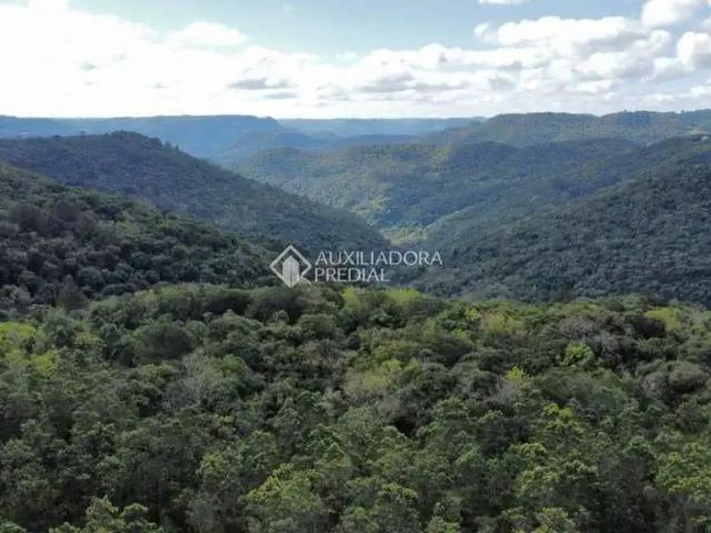 Apartamento para Venda em Nova Petrópolis/RS Bavária 1 Quartos