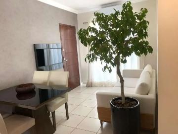 Apartamento para Venda em Americana/SP Jardim Bela Vista 2 Quartos