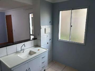 Apartamento para Venda em Americana/SP Jardim Bertoni 2 Quartos