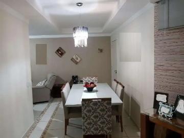 Apartamento para Venda em Americana/SP Jardim São Domingos 2 Quartos
