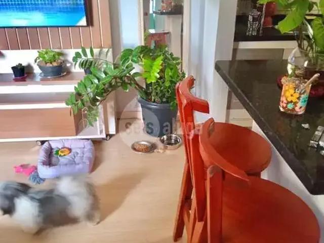 Apartamento para Venda em Americana/SP Vila Dainese 2 Quartos