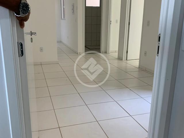 Apartamento para Venda em Aparecida de Goiânia/GO Vila Oliveira 2 Quartos