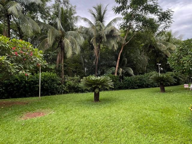 Apartamento para Venda em Araçatuba/SP Vila Santo Antônio 3 Quartos
