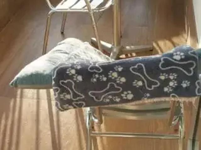 Apartamento para Venda em Aracaju/SE São José 3 Quartos