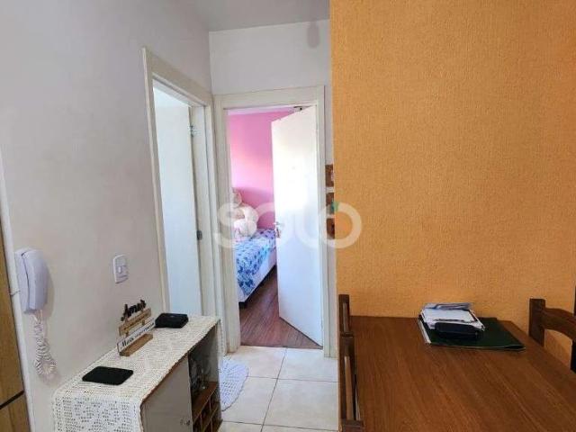 Apartamento para Venda em Araraquara/SP Jardim Residencial Paraíso 2 Quartos