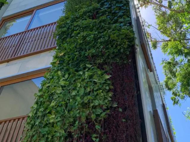 Apartamento para Venda em Balneário Camboriú/SC Praia do Estaleiro 3 Quartos