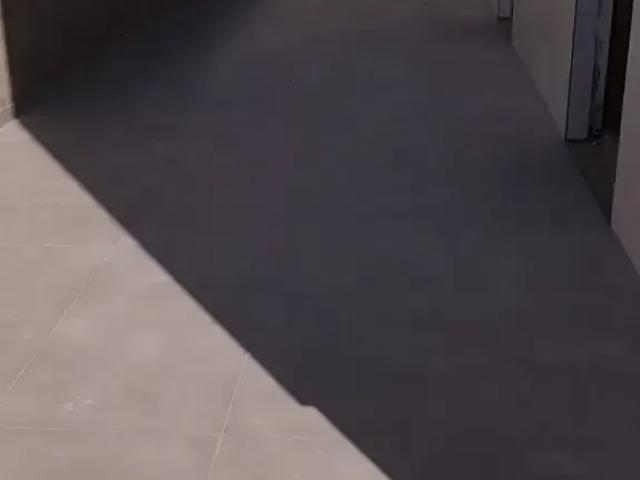 Apartamento para Venda em Belo Horizonte/MG Colégio Batista 4 Quartos