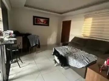Apartamento para Venda em Belo Horizonte/MG Madre Gertrudes 3 Quartos