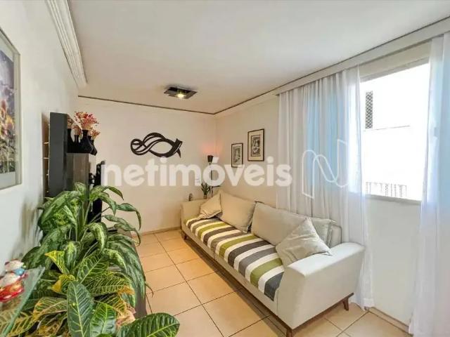 Apartamento para Venda em Belo Horizonte/MG Silveira 4 Quartos