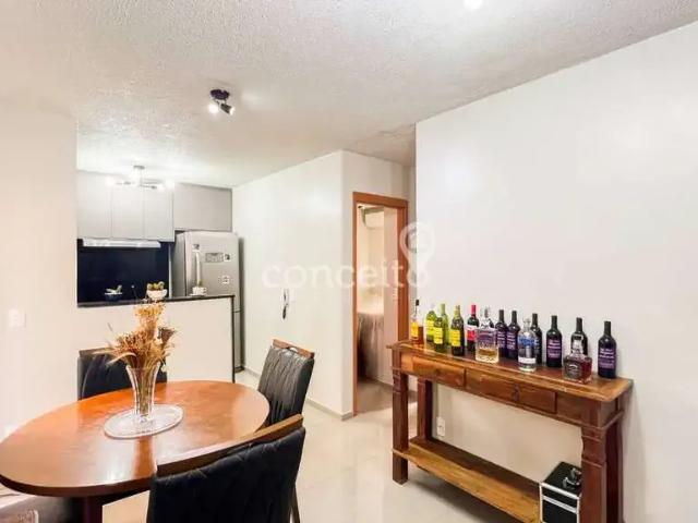 Apartamento para Venda em Blumenau/SC Itoupava Central 2 Quartos
