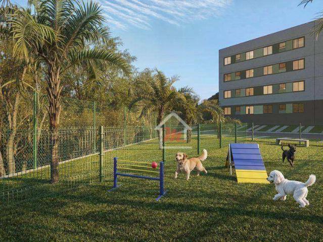 Apartamento para Venda em Blumenau/SC Velha Central 2 Quartos