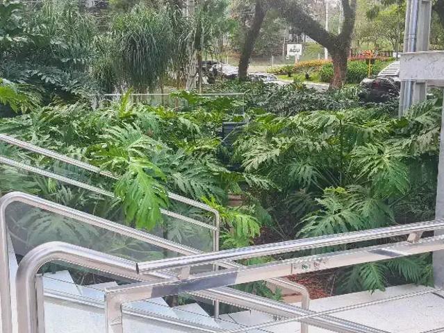 Apartamento para Venda em Curitiba/PR Cabral 3 Quartos