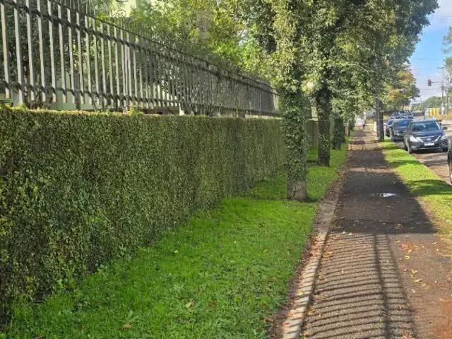 Apartamento para Venda em Curitiba/PR Uberaba 3 Quartos